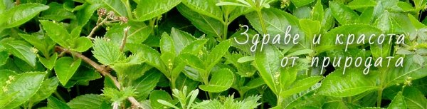 Здрави и красиви с натуралните продукти на Ауметрия ЕООД